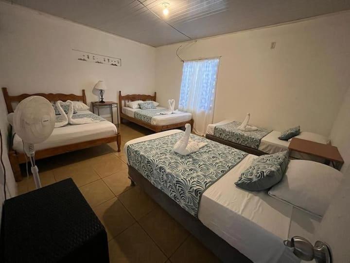 Villa Casa Artavia à Tortuguero Extérieur photo